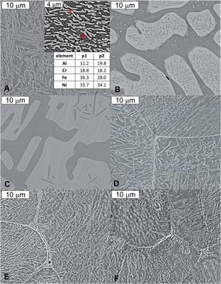 Corrosion of Al(Co)CrFeNi High-Entropy Alloys